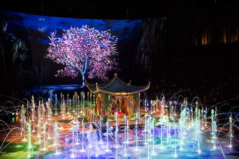 The House of Dancing Water Show Ticket in Macau .